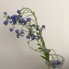 heather31109